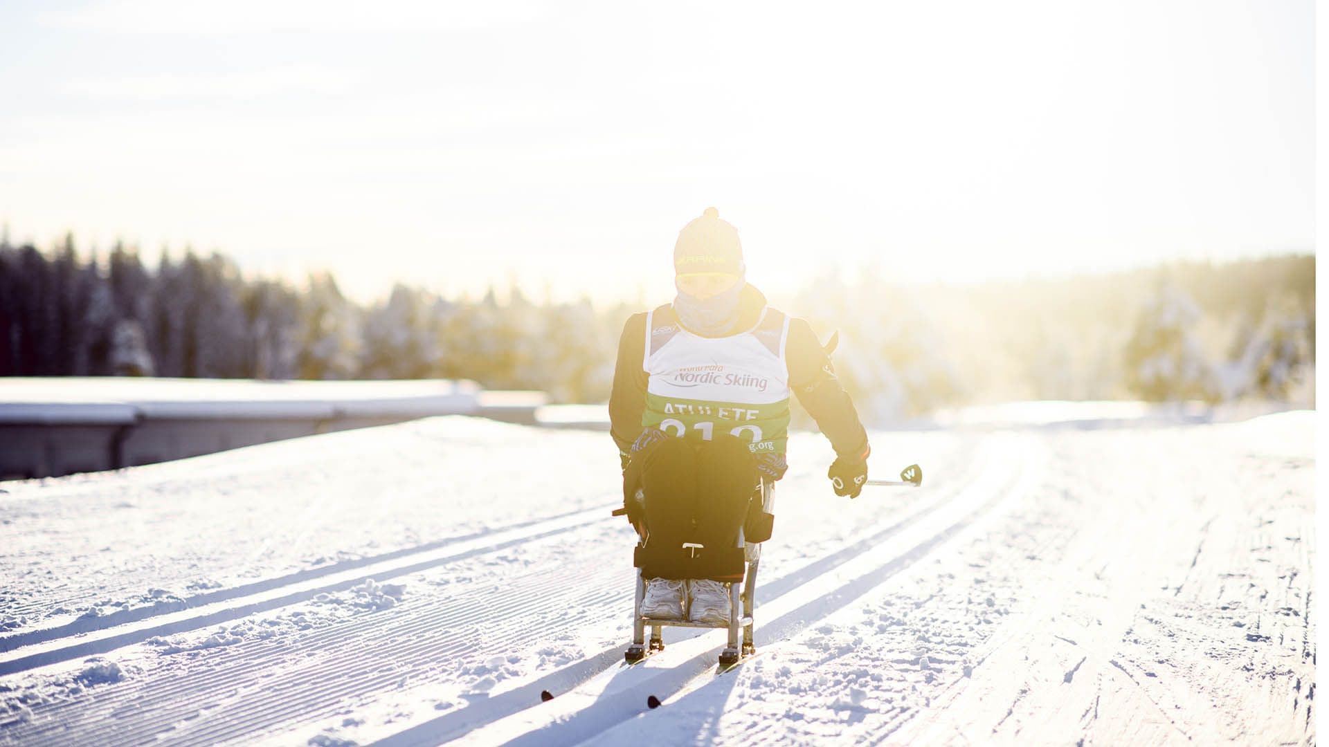 En utøver i sitski kjører langrenn på en snødekt løype i motlys.